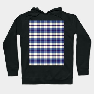 Sunset and Sunrise Aesthetic Iagan 1 Hand Drawn Textured Plaid Pattern Hoodie